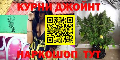 apvp Ярославль