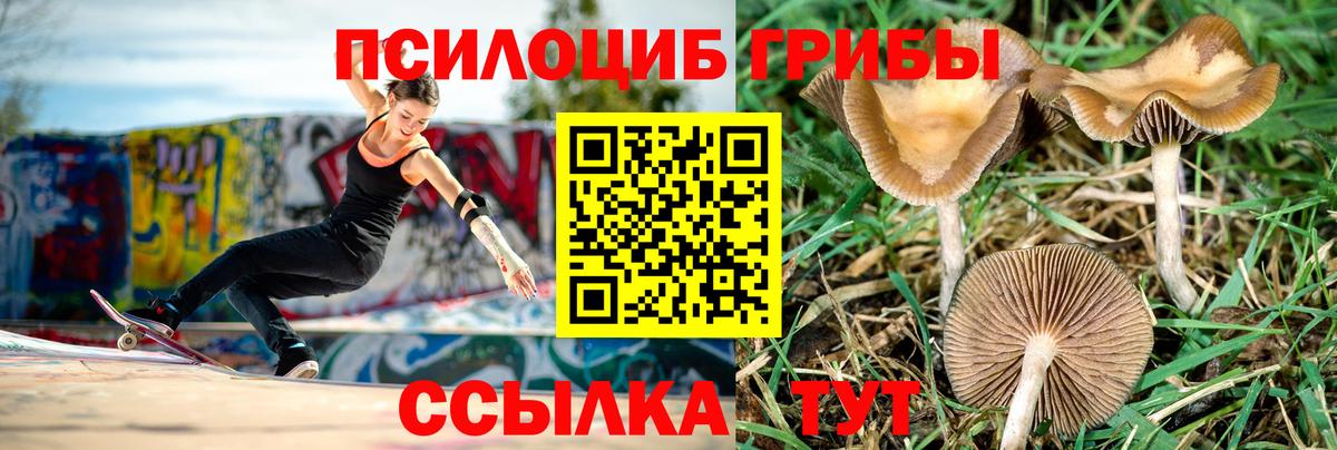 Галлюциногенные грибы Cubensis Артём