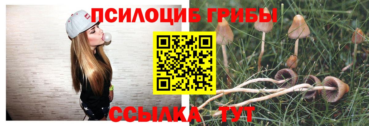 Артём  Псилоцибиновые грибы Magic Shrooms  Вход с VPN 